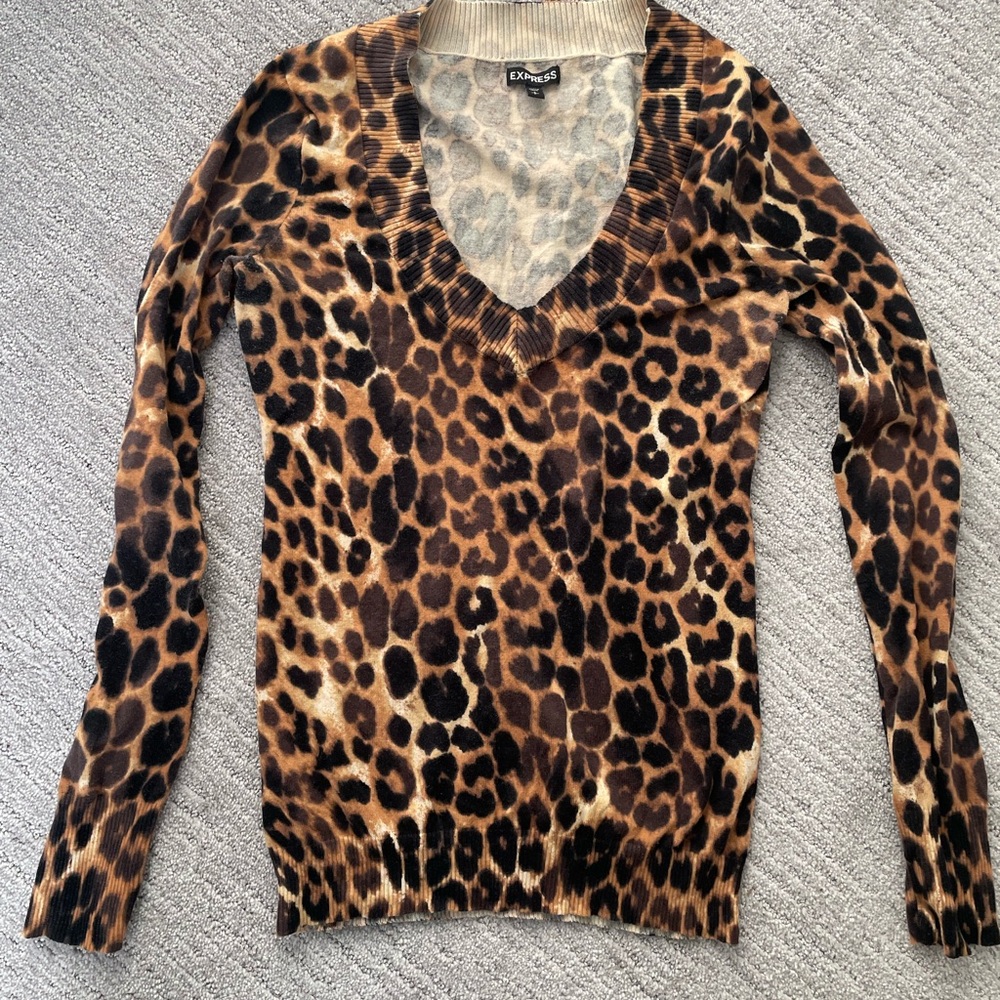 Express Leopard Print Long Sleeve VNeck Sweater, Size Small